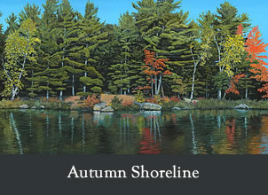 autumn shoreline