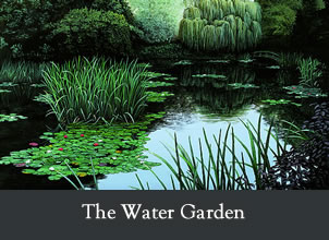 the water garden