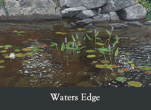 waters edge