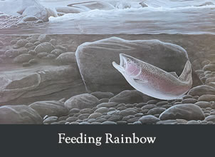 feeding rainbow