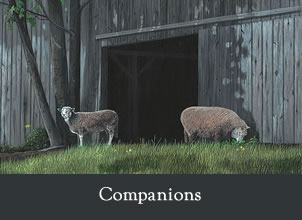 companions