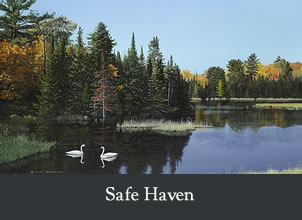 safe haven